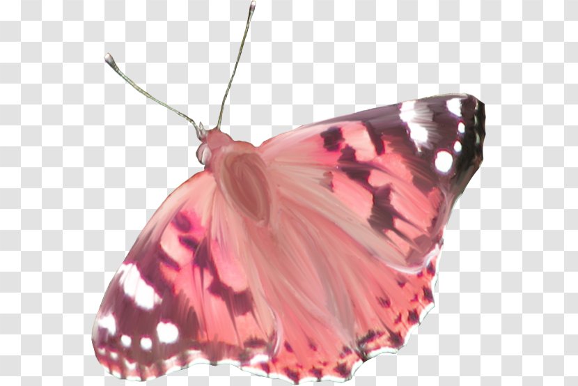Monarch Butterfly Light - Moths And Butterflies - Colorful Transparent PNG