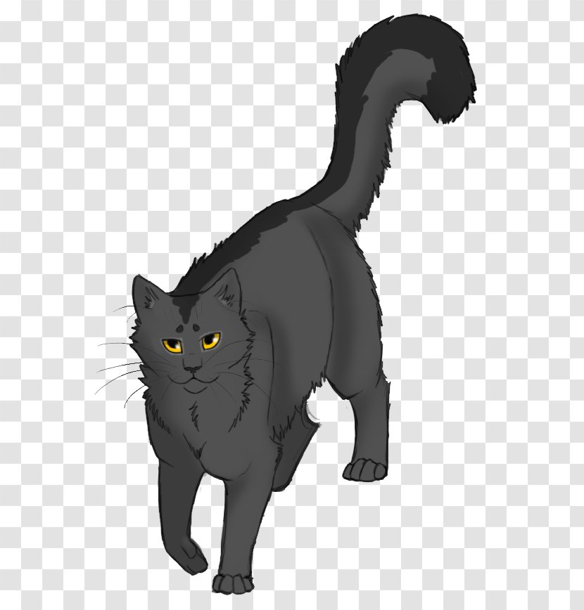 The Fourth Apprentice Into Wild Warriors Graystripe Firestar - Hollyleaf Transparent PNG