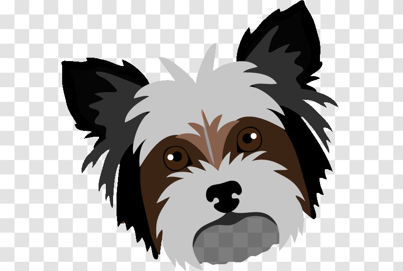 Yorkshire Terrier Cairn Puppy Shih Tzu Dog Breed - Cute Transparent PNG