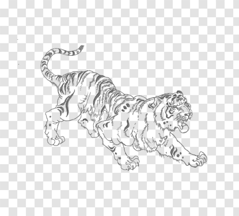 Golden Tiger Lion - Mammal Transparent PNG