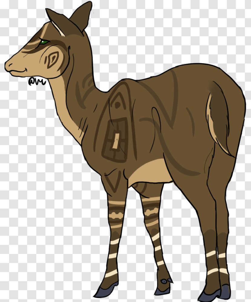 Cattle Giraffe Horse Okapi Mammal - Fauna Transparent PNG