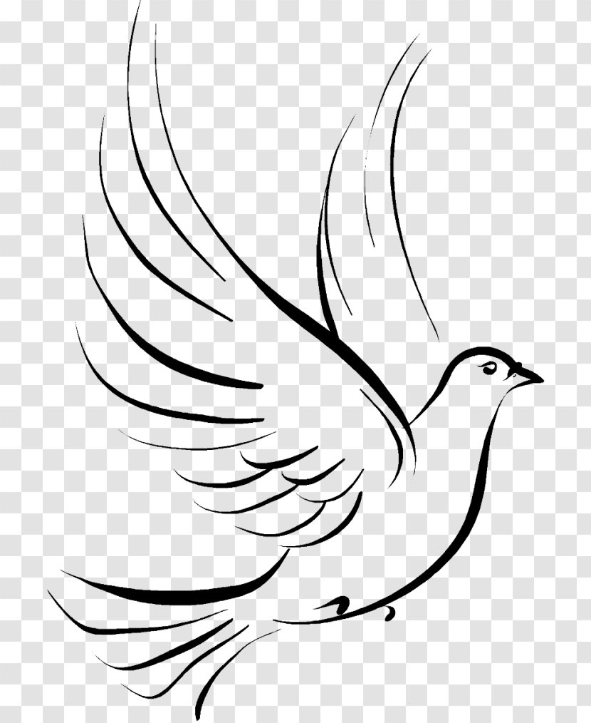 Free art print of Free flying white dove, isolated sketch style  illustration. Free flying white dove, sketch style vector illustration  isolated on background with place for text. Realistic hand drawing of white