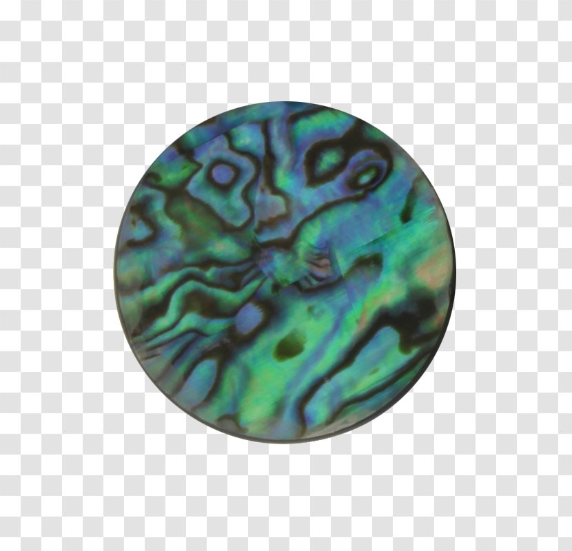 Locket Coin Organism Turquoise SilverReef Transparent PNG
