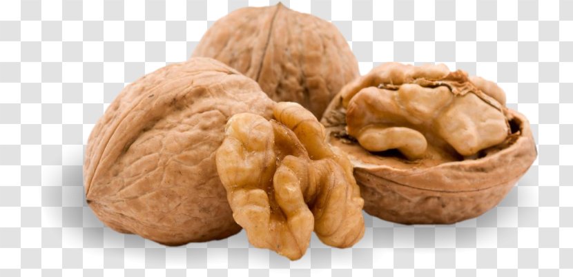 English Walnut Iranian Cuisine Drupe - Tree Nuts Transparent PNG