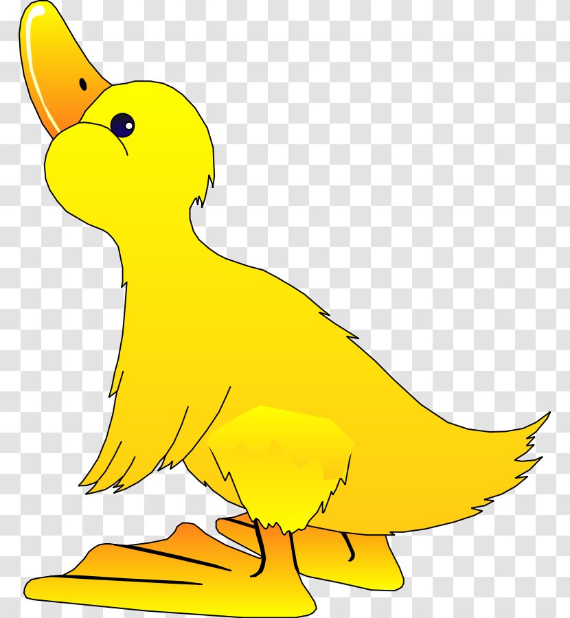Duck Free Content Clip Art - Ducks Geese And Swans - Mascot Clipart Transparent PNG