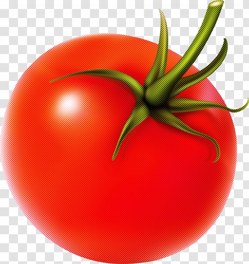 Tomato - Plant - Bush Food Transparent PNG