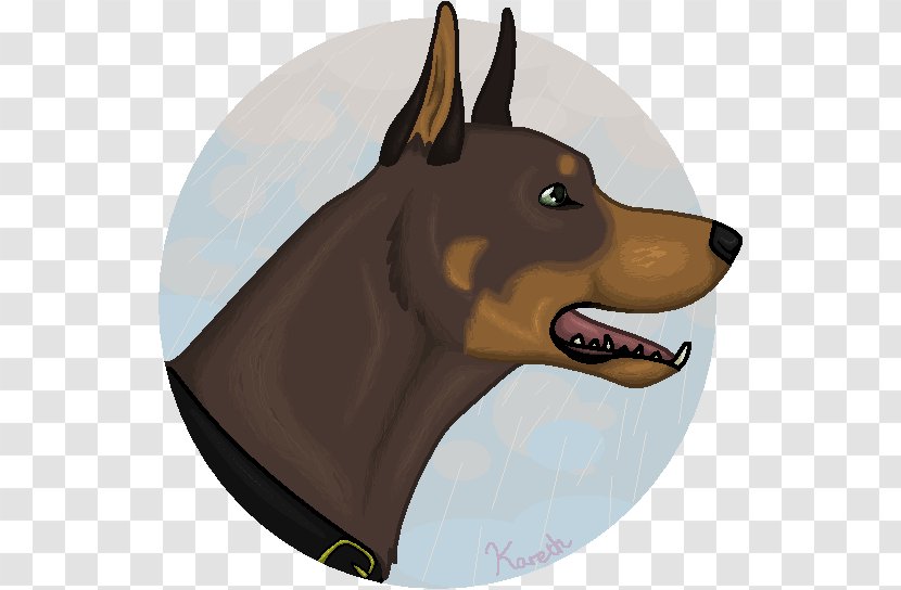 German Pinscher Dog Breed Snout - Like Mammal - Vulnerable Native Breeds Transparent PNG