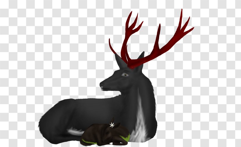 Reindeer Antler Wildlife - Deer - Hair Forest Transparent PNG