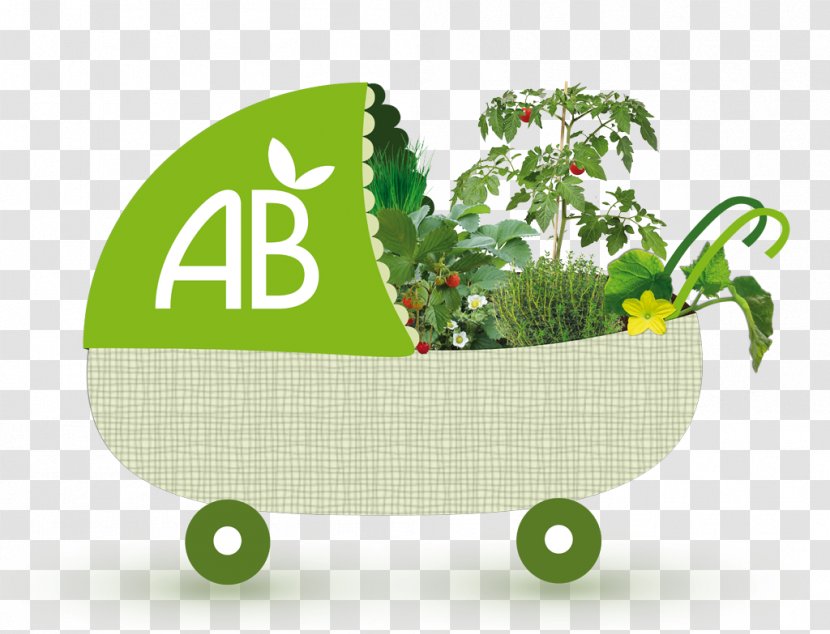 Organic Food La Nursery Du Potager Vegetable Istik Market Garden - Plant - Green Transparent PNG