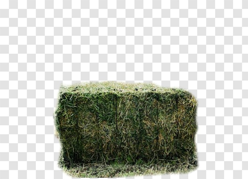 Alfalfa Bala De Palla Agriculture Hay Cattle - Baler Transparent PNG