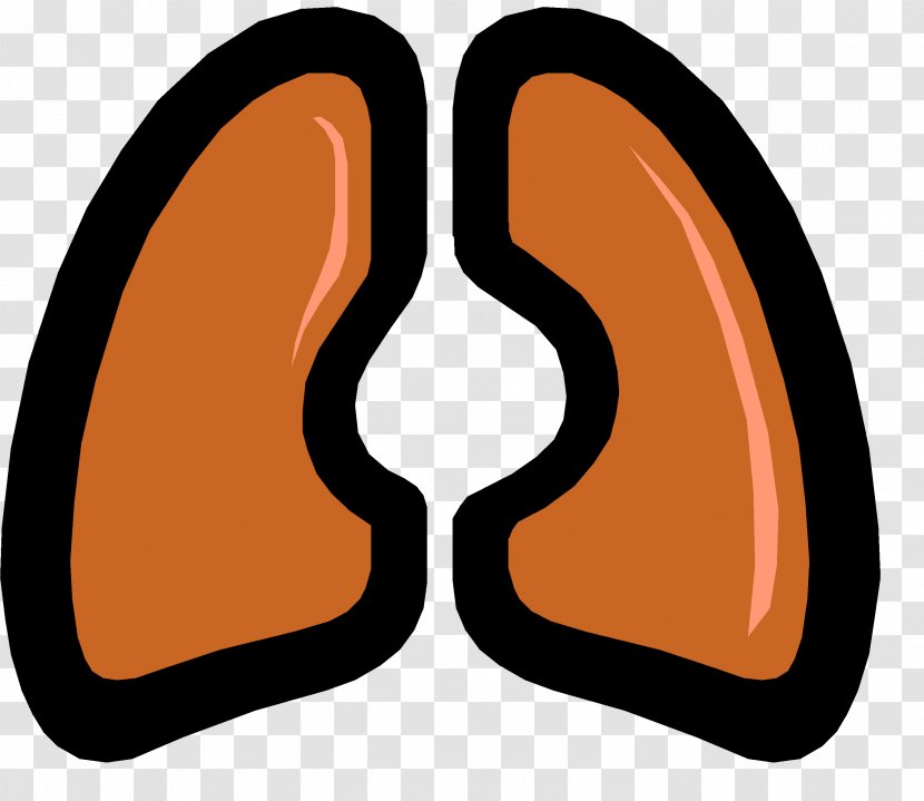 Lung Idiopathic Pulmonary Fibrosis Respiratory System Disease Chronic Obstructive - Lungs Transparent PNG