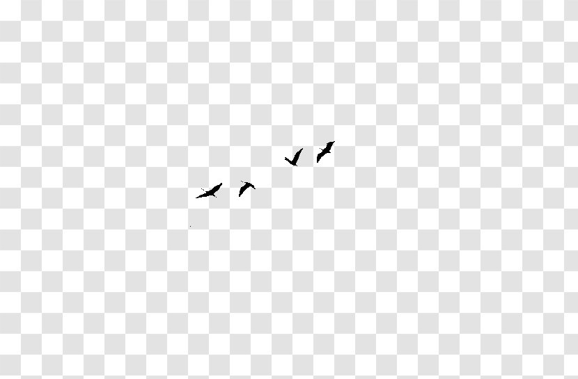 Bird Beak Animal Sky Plc Font - Flying Transparent PNG