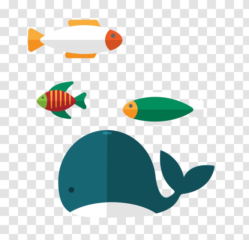 Whale Aquatic Animal Clip Art - Marine Biology - Combination Transparent PNG