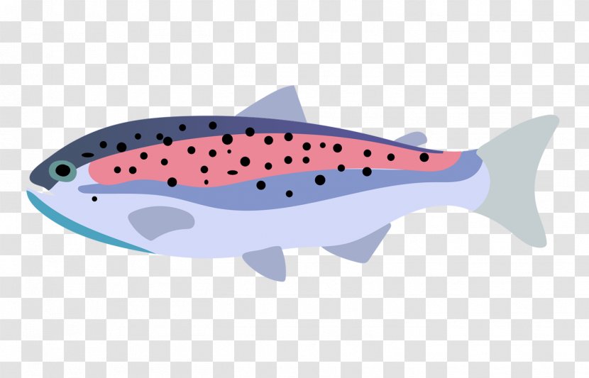 Rainbow Trout Fish Drawing - Angling - Color Pet Transparent PNG