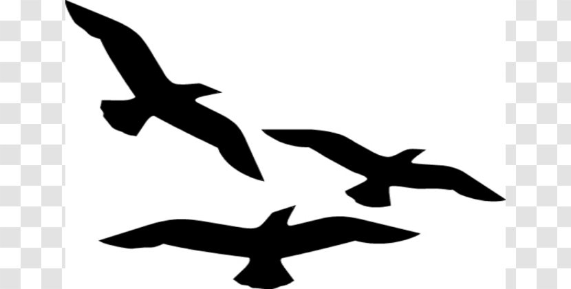 Bird Flight Silhouette Clip Art - Flock - Black Fly Cliparts Transparent PNG