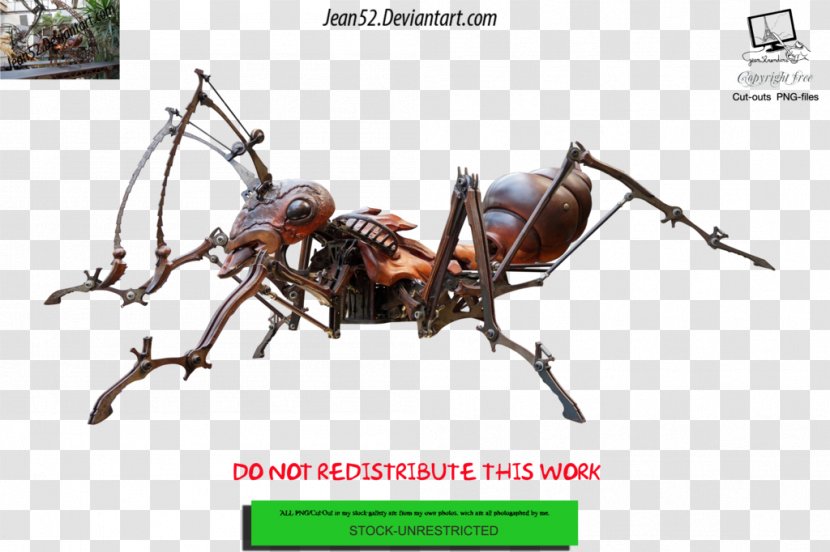 DeviantArt Insect - Ant Transparent PNG