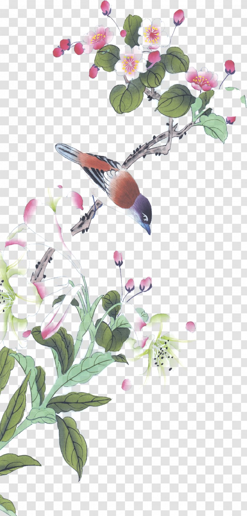 Calligraphy Image Chinese Painting Bird-and-flower - Branches Vector Transparent PNG