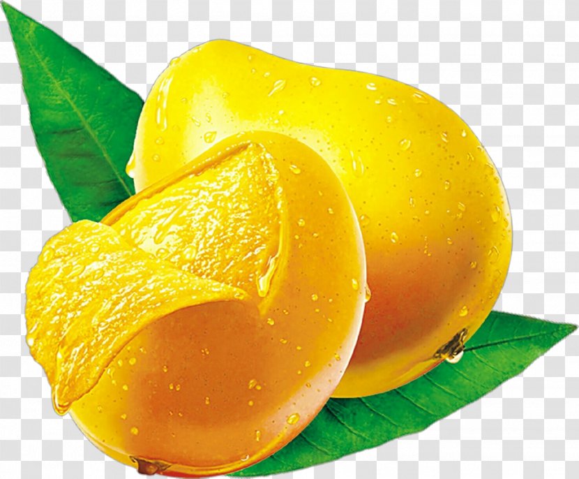 Food Yellow Lemon Peel Fruit Plant - Cuisine Citric Acid Transparent PNG