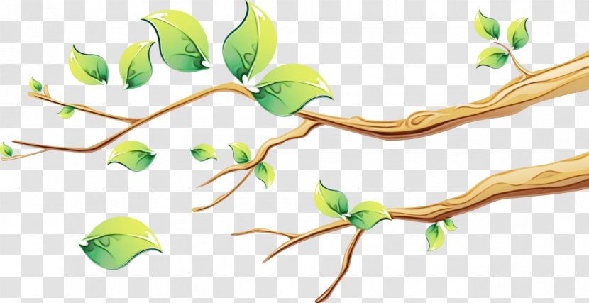 Branch Plant Twig Stem Flower - Watercolor - Pedicel Tree Transparent PNG