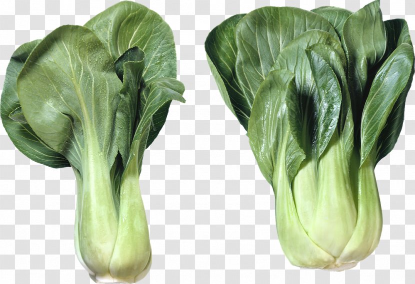 Chinese Cuisine Bok Choy Capitata Group Cabbage Salad - Vegetable Transparent PNG