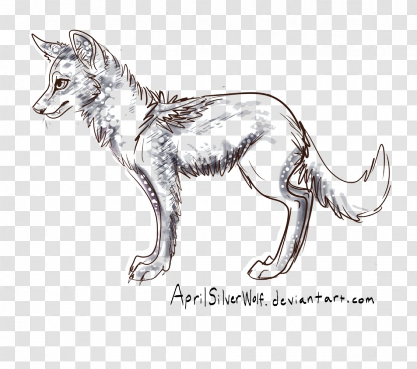 Red Fox Gray Wolf Cat Line Art Sketch - Dog Like Mammal Transparent PNG