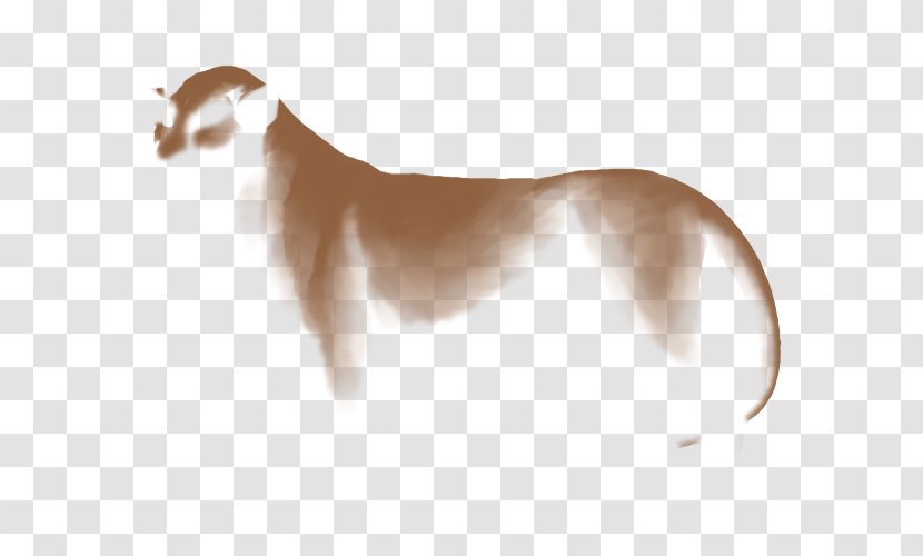 Dog Breed Italian Greyhound Whippet Saluki - Like Mammal - Puppy Transparent PNG