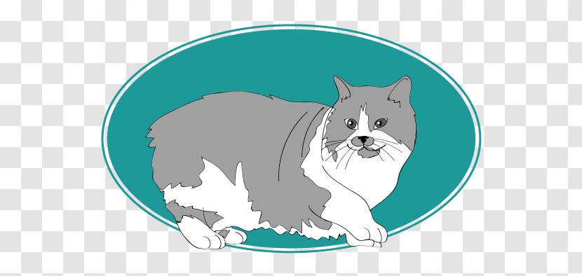 Cat Dog Illustration Cartoon Character - Chat Poil Long Britannique Transparent PNG