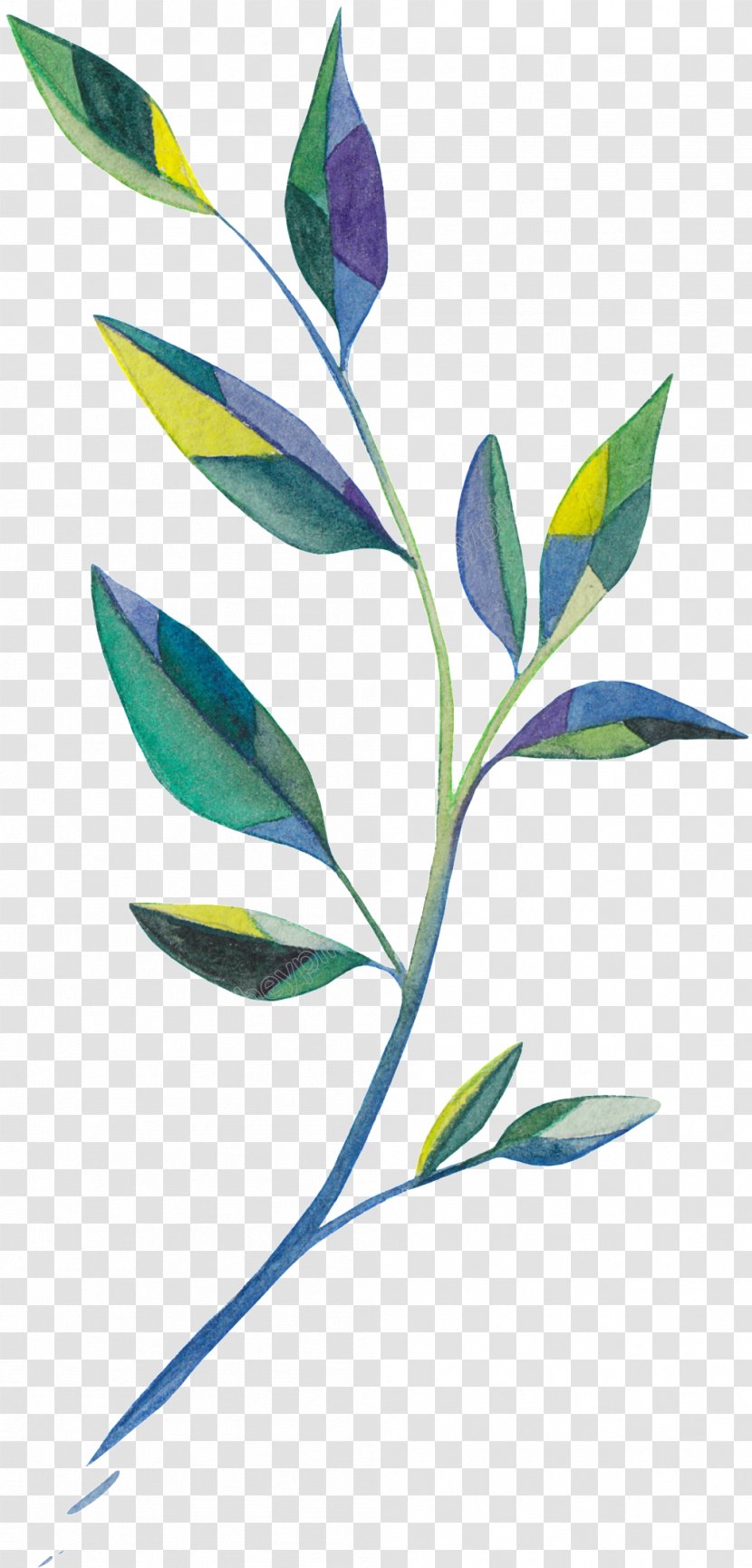 Vector Graphics Leaf Image Design - Flora Transparent PNG