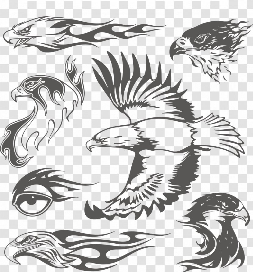 Bald Eagle Illustration - Sticker - Vector Eagles Transparent PNG