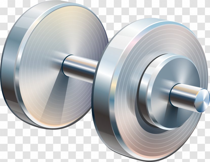 Dumbbell Euclidean Vector Barbell Weight Training Physical Fitness - Can Stock Photo Transparent PNG