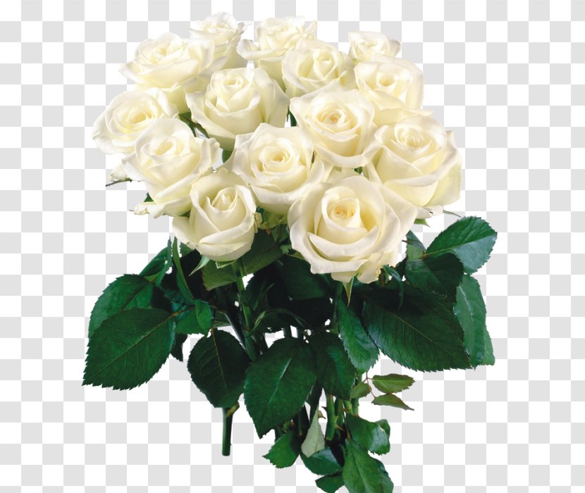 Birthday Букет з білих троянд Flower Bouquet Holiday Garden Roses - Love Transparent PNG