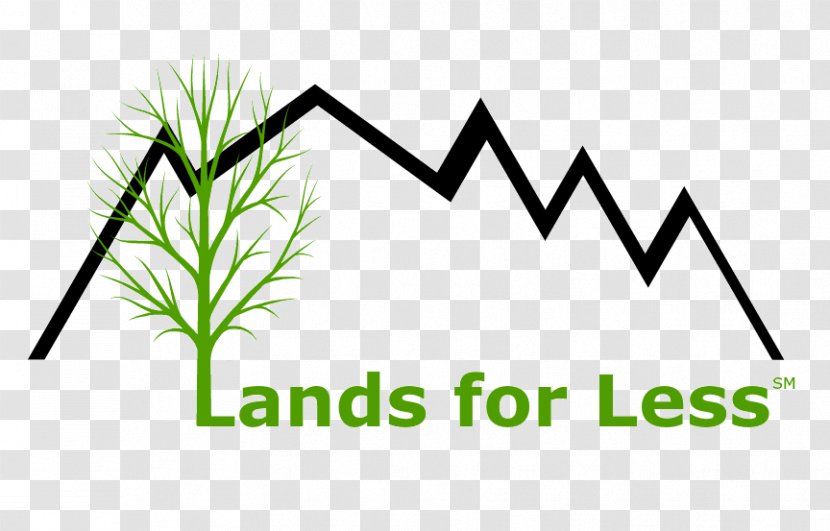 Lands For Less Land Investment Real Estate Property DeLand - Plant Stem - Sale Willow City Loop Transparent PNG