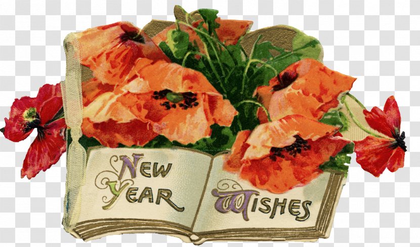 Post Cards Winsch Floral Design Gift Ansichtkaart - Floristry - Postcard Back Transparent PNG