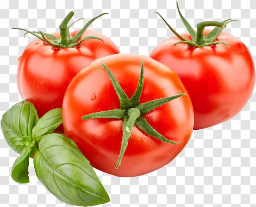 Roma Tomato Vegetable Food Cherry - Fruit - Canning Background Tomatoes Transparent PNG