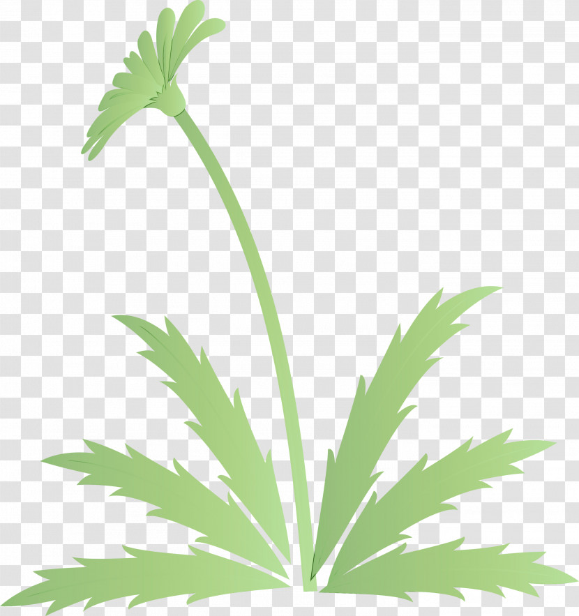 Leaf Plant Flower Plant Stem Terrestrial Plant Transparent PNG