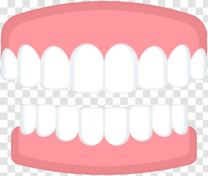 Human Tooth Product Dentures Health - Cartoon - Spring Teeth Transparent PNG