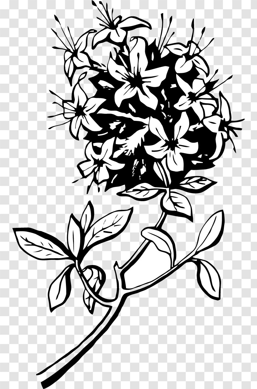 Clip Art Illustration Vector Graphics Image Drawing - Handicraft - Wildflower Transparent PNG