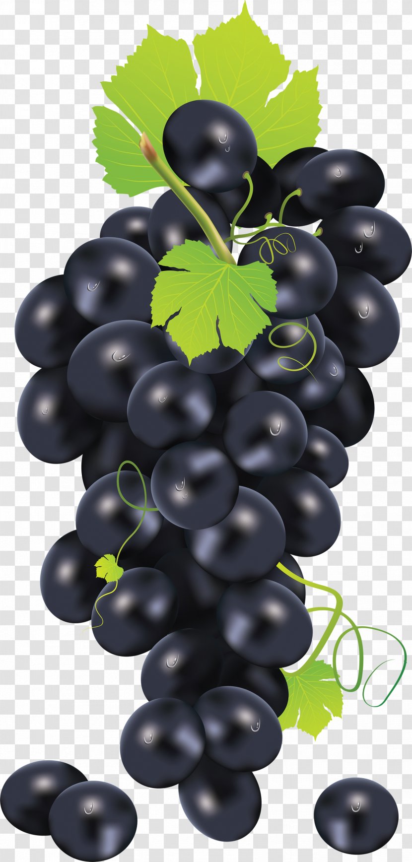 Common Grape Vine Juice Clip Art - Food - Black Image Transparent PNG
