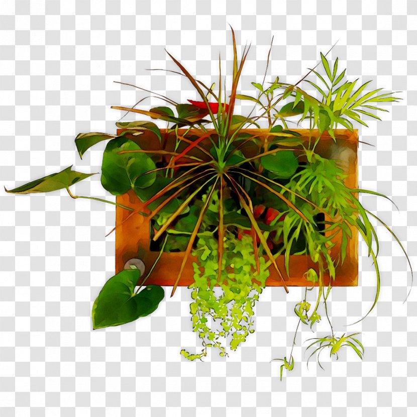 Flowerpot Leaf Houseplant Herb - Grass - Flowering Plant Transparent PNG