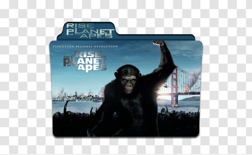 YouTube Rise Of The Planet Apes Film Dawn - Matt Reeves Transparent PNG