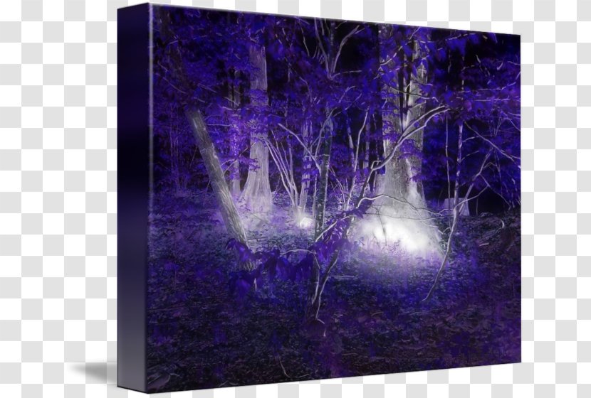 Light Modern Art Painting Violet Desktop Wallpaper Transparent PNG