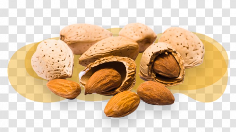 Nuts Almond Peel Auglis - Almendras Transparent PNG