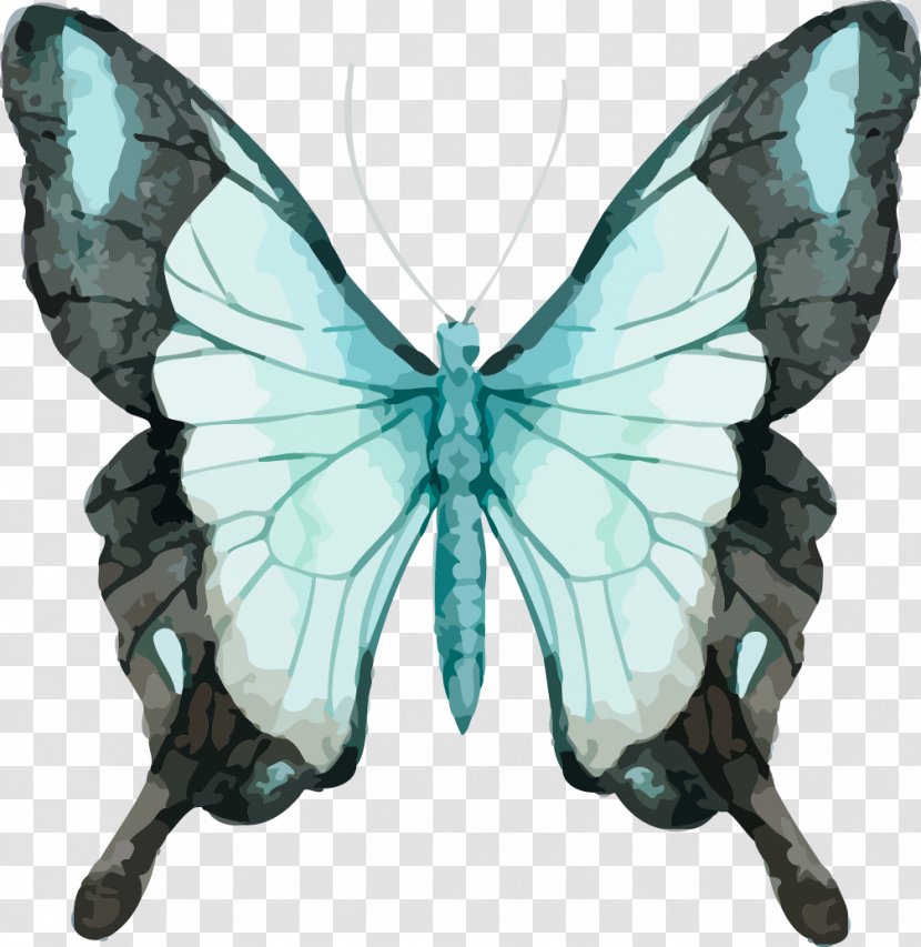 Butterfly Watercolor Painting Stock Photography Royalty-free - Arthropod - Beautiful Vector Transparent PNG