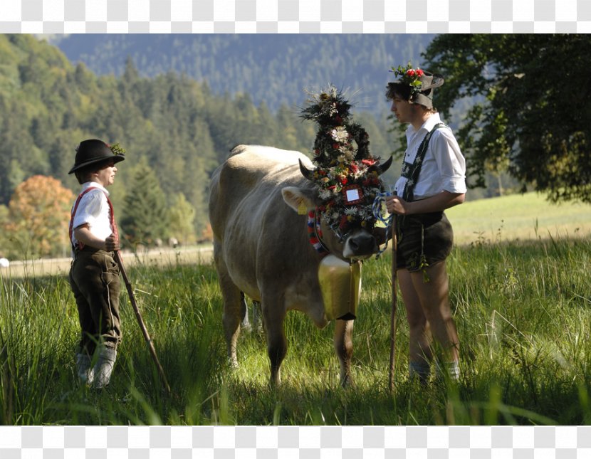 Almabtrieb AllgäuTop&LandHotels Tradition Party Horse - Pasture Transparent PNG