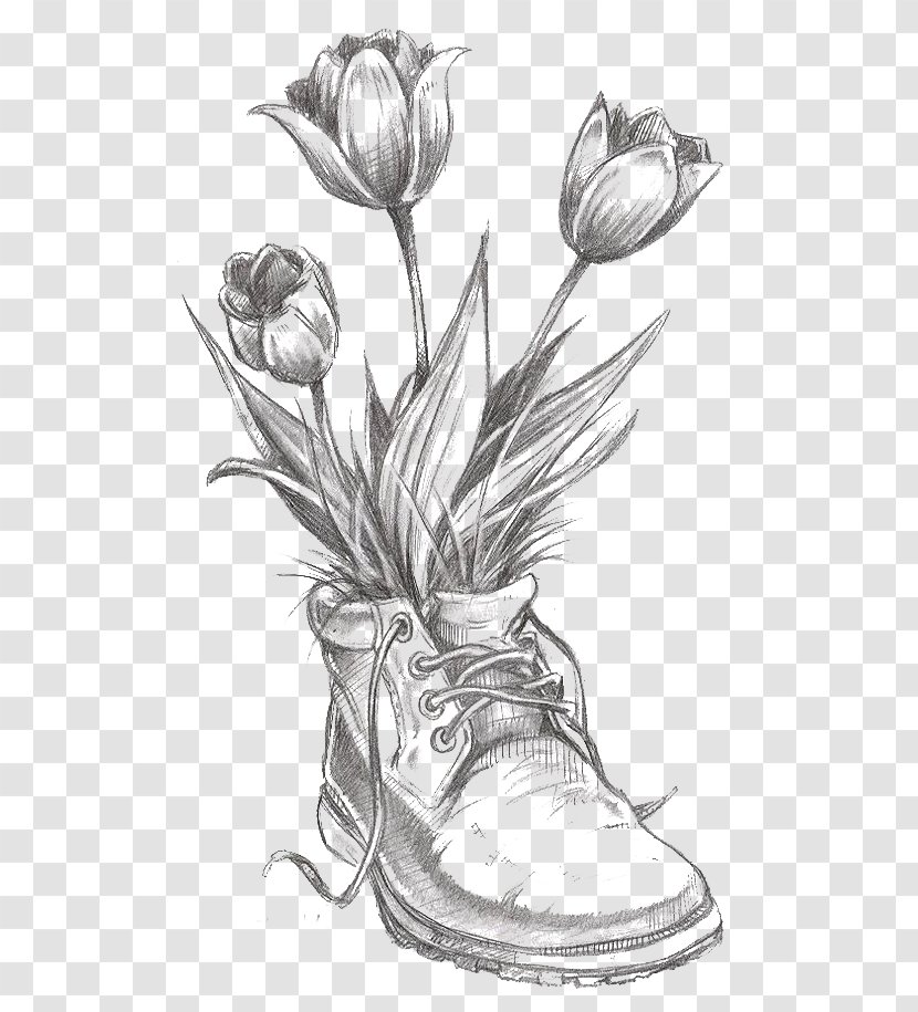 Drawing Flower Tulip Pencil Sketch - Monochrome Photography Transparent PNG