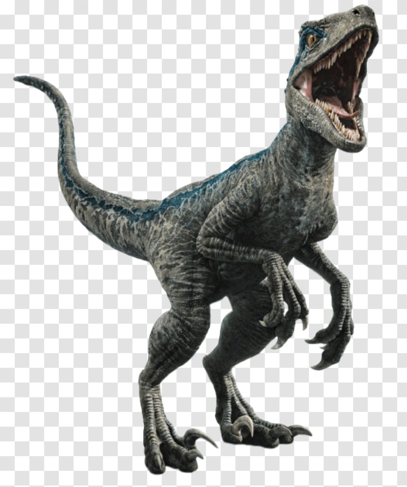 Velociraptor Owen Jurassic World Evolution Dinosaur Park - Animal Figure Transparent PNG