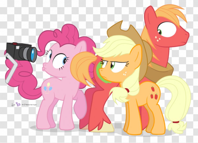 My Little Pony: Friendship Is Magic Fandom McDonald's Big Mac McIntosh DeviantArt - Tree - Ice Crack Transparent PNG