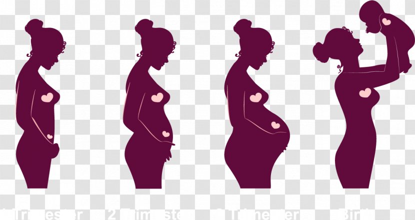 Pregnancy Childbirth Academic Quarter Embryo Infant - Pink - Cartoon Pregnant Women Vector Material Transparent PNG