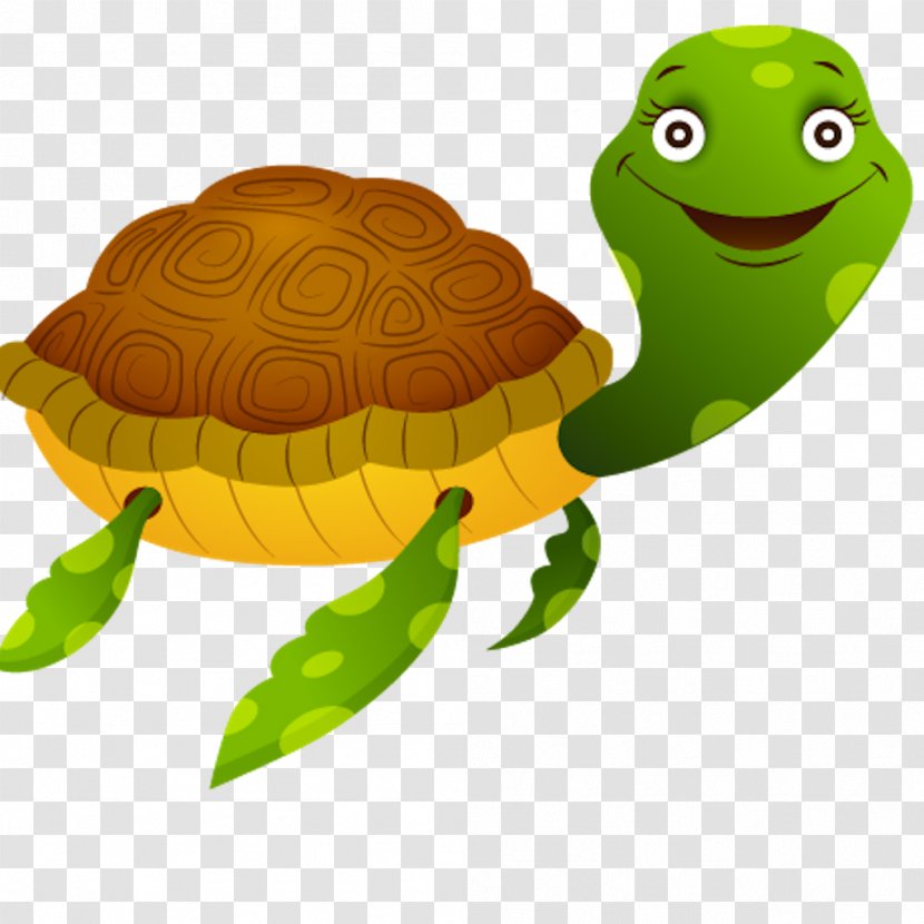 Tortoise Sea Turtle Transparent PNG