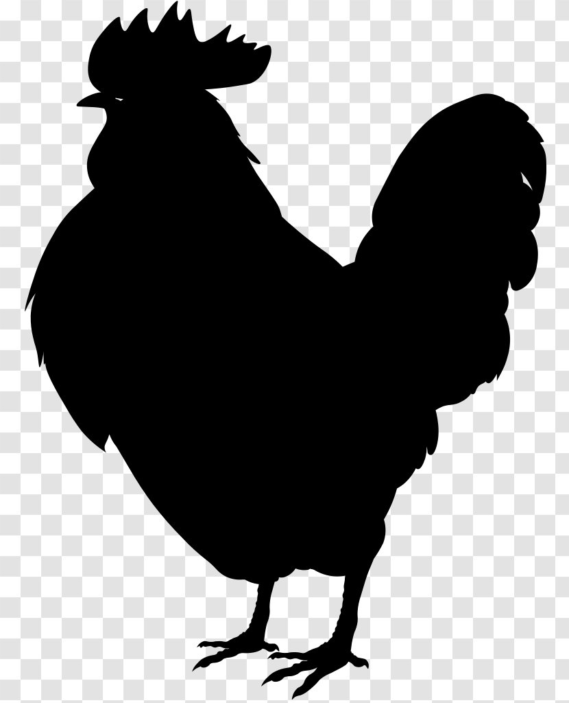 Rooster Leghorn Chicken Plymouth Rock Phoenix Rhode Island Red - Fowl - White Transparent PNG